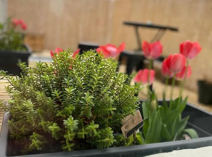 דירה Le Beffroi *