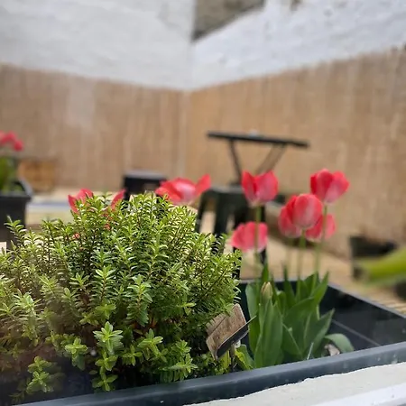 Appartamento Le Beffroi *