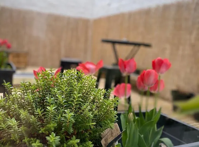 Appartamento Le Beffroi *